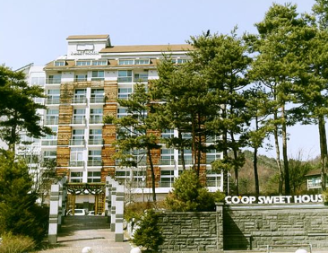  인기해외호텔안내  평창 코업 스위트 하우스  봉평면 태기로 10-6, 평창, 대한민국