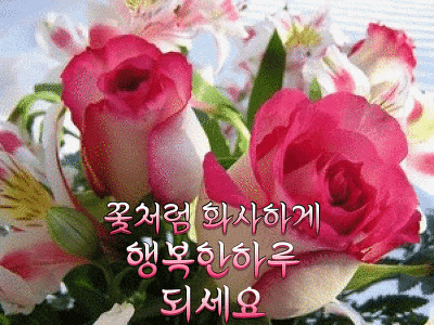 사랑하는 날까지