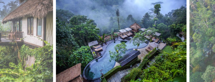  인기해외호텔안내  난디니 발리 정글 리조트 & 스파 우붓 Nandini Bali Resort & Spa Ubud Banjar Susut, 파얀간, 인도네시아