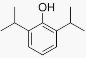 ì•½ì´ì•¼ê¸° 14 ì•„ë„¤í´ì£¼ì‚¬5ml í