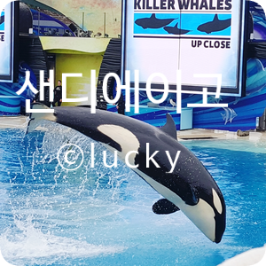  미국여행 - 멕시코 국경 샌디에이고