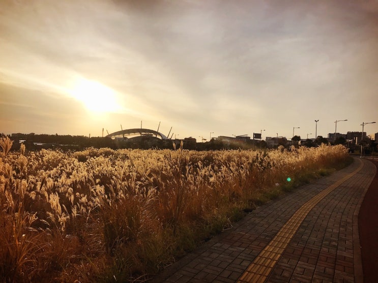  제주항 동부두방파제 원투, 찌낚시 갈치낚시, 붕장어 낚시 조행기