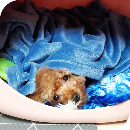  쓸데없이 바빴지만 행복한 날