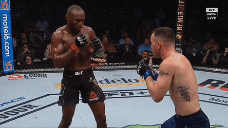 UFC 245 : 우스만 vs 코빙턴 피니시 영상(GIF) 및 뒷얘기
