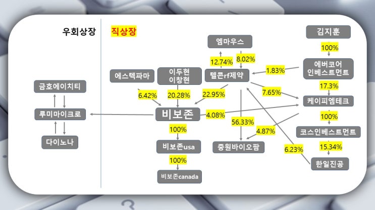  비보존 지분관계 및 연관회사.. 중요한건 비보존