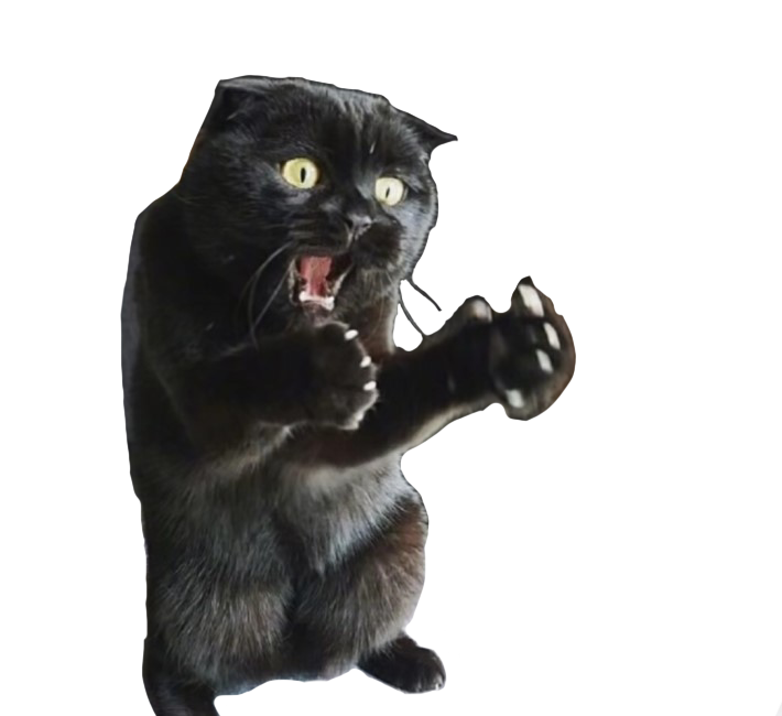  [이미지] 이따만 했다니깐 고양이 짤png / 원본