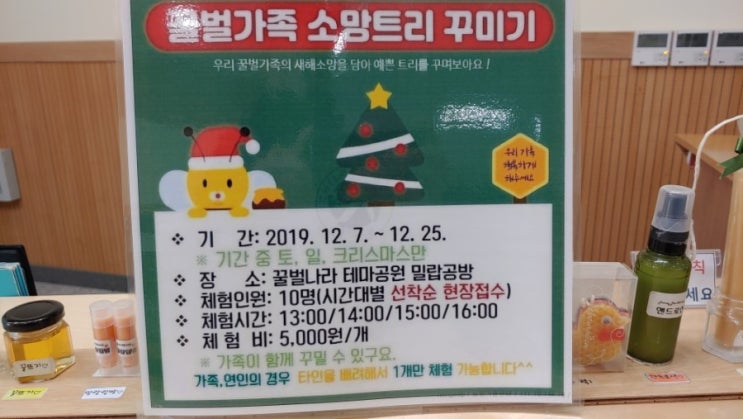  크리스마스트리 만들기, 꿀벌가족 소망트리 꾸미기 체험