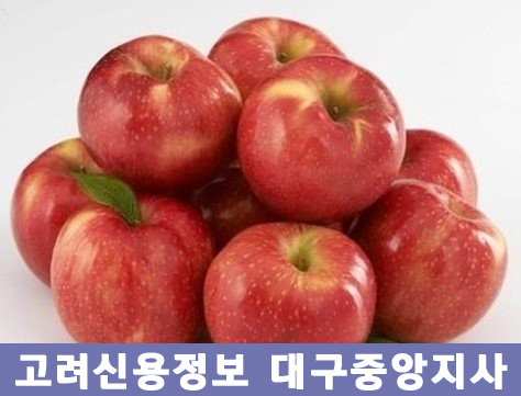  매천시장 외상매출금 못받은돈 미수금 채권추심/고려신용정보 대구중앙지사/구미 김천 안동 경북