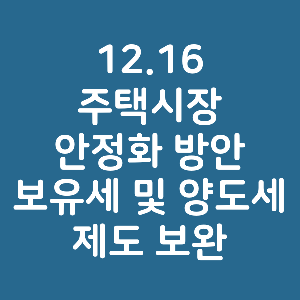  (긴급) 12.16 주택시장 안정화 방안 - 보유세 및 양도세 제도 보완(2)