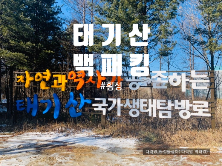  횡성 태기산 백패킹