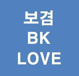  보겸 BK LOVE '넌 역시 최고였어'