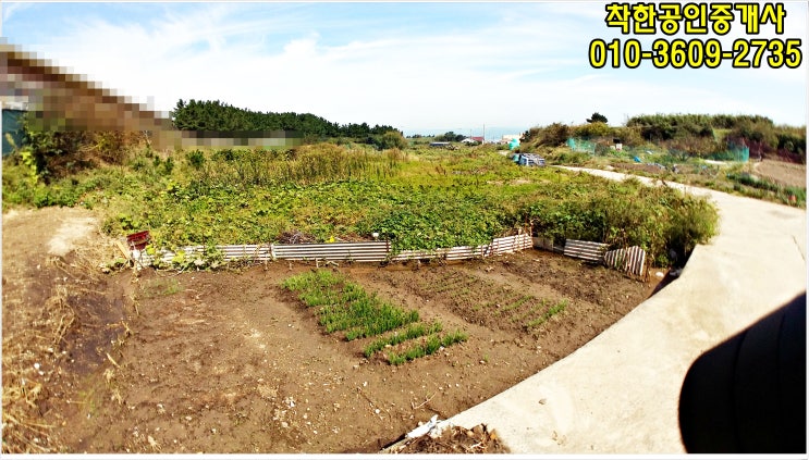 포항바닷가텃밭 포항바닷가주말농장-호미곶면 구만리 토지매매