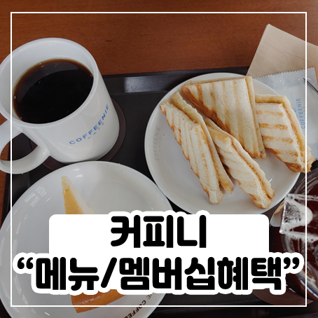 커피니 남춘천역점 메뉴 및 멤버십 혜택 정리 커피니 남춘천역점 메뉴 및 멤버십 혜택 정리