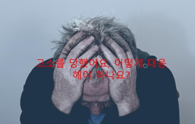  형사사건의 흐름에 대해 (1) - 수사절차 및 수사대응 방법