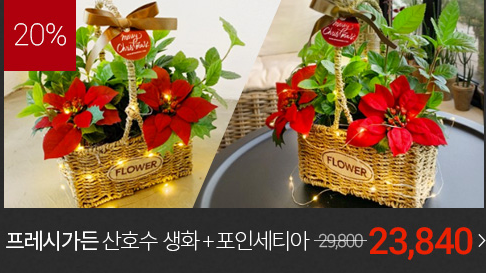  [더 알아보기]   프레시가든 프리미엄플랜츠 산호수 생화 + 포인세티아 조화 Christmas edition  [23,840원]