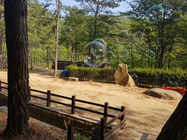  언양 작괘천 별빛야영장, 작천정 캠핑장으로 넘나 좋아용