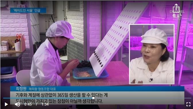  [해피팜] 오늘의 도전-와디즈 프로젝트 펀딩