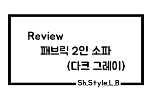[Review] 서울 이사 오고 처음 배송 온 소파! 워블 일리 패브릭 2인 소파 (다크 그레이)