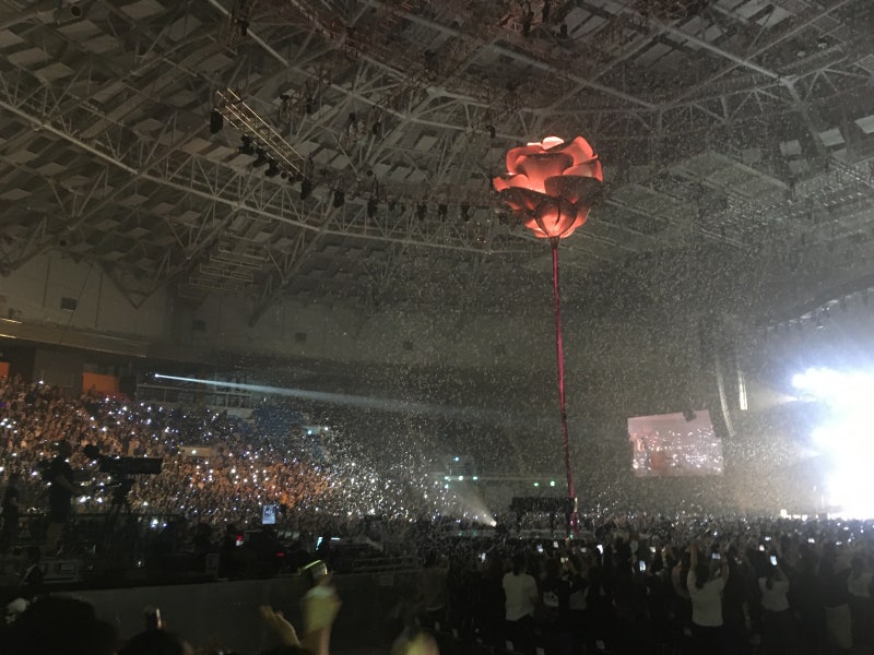 2019 Shawn Mendes : The Tour Asia - in Seoul 션 멘데스 내한 공연 후기 / 체조경기장 1층 시야