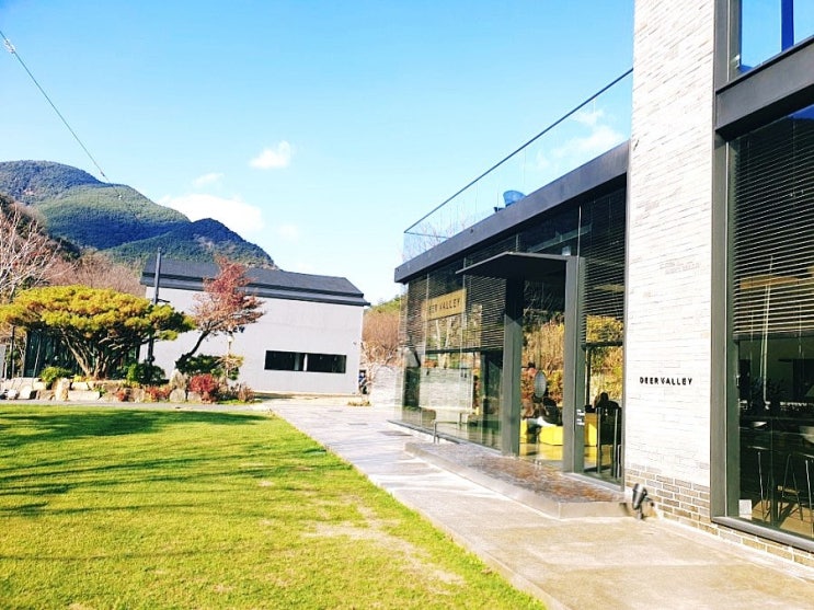  대구 팔공산 디어밸리 카페 위치 및 메뉴 그리고 버스타고 가는법( DEER VALLEY )