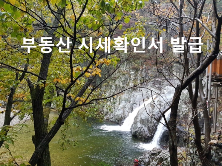  [부동산시세확인서] 발급