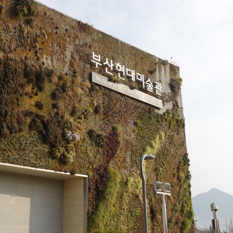  #191216 3박 4일 부산 여행 - 부산현대미술관, 레인룸 (~20.1.27)