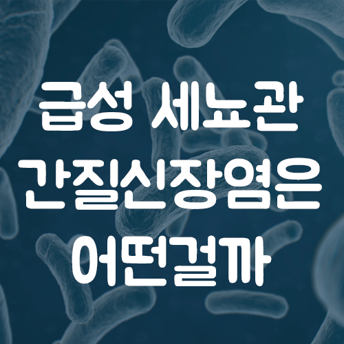 급성 세뇨관 간질성신염 급성 간질성 신염은 어떤걸까?