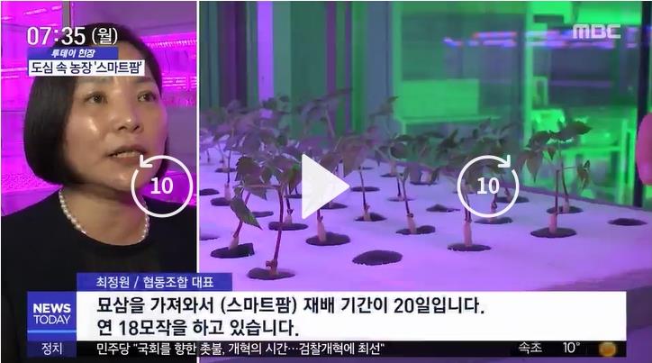 [MBC-투데이 현장] 해피팜, 스마트팜 도시 농장 보도