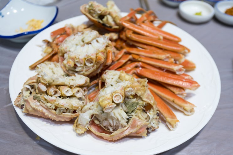 마산 어시장 대게 맛집! 연말 모임은 '둥지횟집'에서~