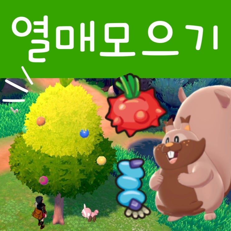  포켓몬스터 소드 실드 공략 : 나무 열매 종류 위치