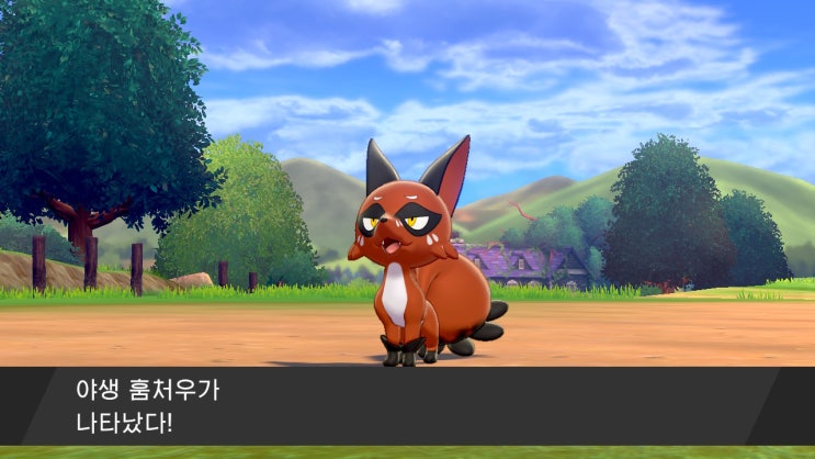  [게임일기] 포켓몬스터 소드 #훔처우 포획