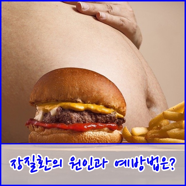 [파주주간보호센터] 장질환의 원인과 예방법 삼성재활과 알아보아요