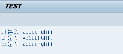  SAP ABAP TRANSLATE 대문자/소문자 전환