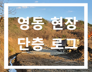  충북 영동 로그하우스 통나무 주택 [홀츠바우 착한나무집프로]