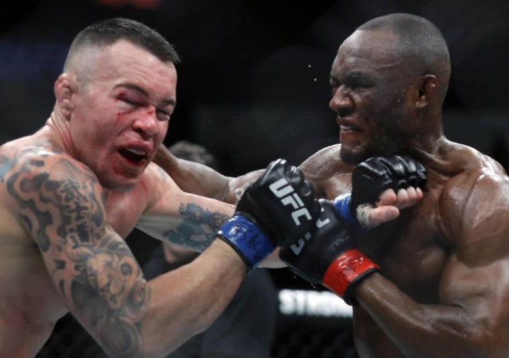 UFC 245 : 카마루 우스만 vs 콜비 코빙턴 분석(weasle) UFC 245 : 카마루 우스만 vs 콜비 코빙턴 분석(weasle)