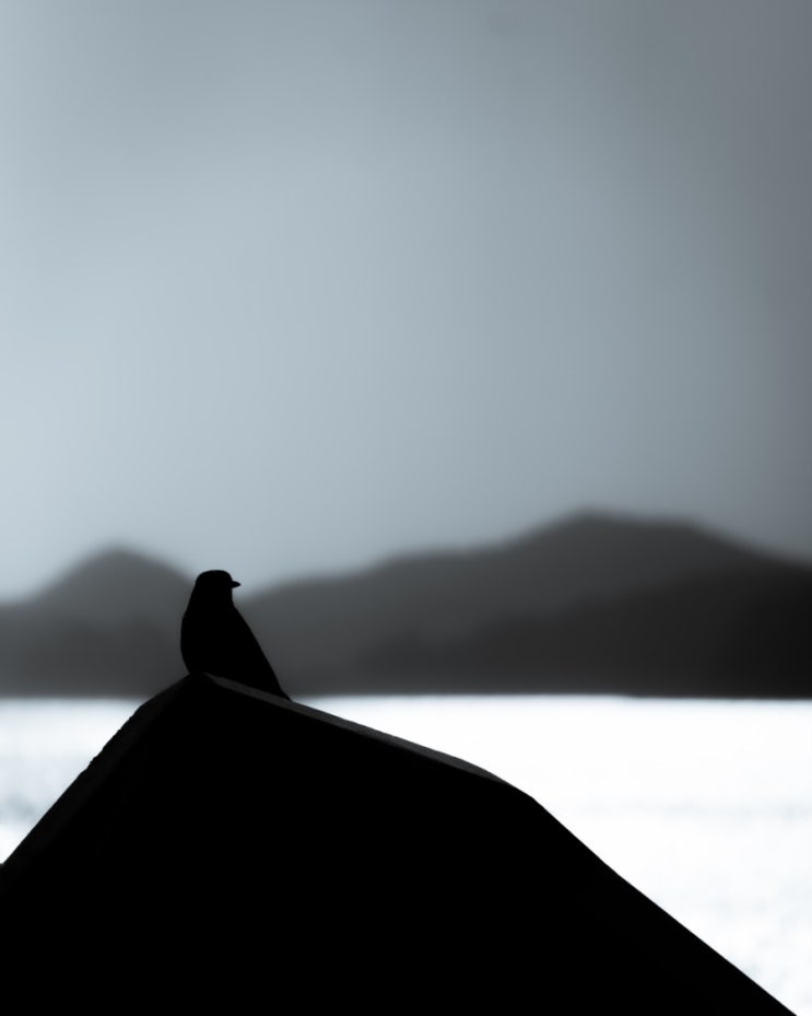 한장 83장