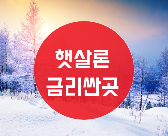  직장인 신용등급 6등급 7등급 8등급 저신용자 대출 가능한곳  ( 저축은행 햇살론 추가 대환 대출 자격 조건 )
