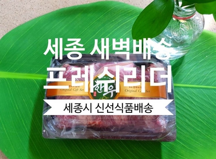  [세종시 새벽 배송] 프레쉬리더 세종시 신선식품 집앞배송 너무 편해요.