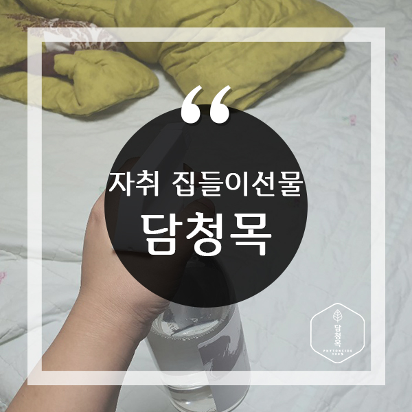  자취 집들이선물 하기 좋은 실용적인 것