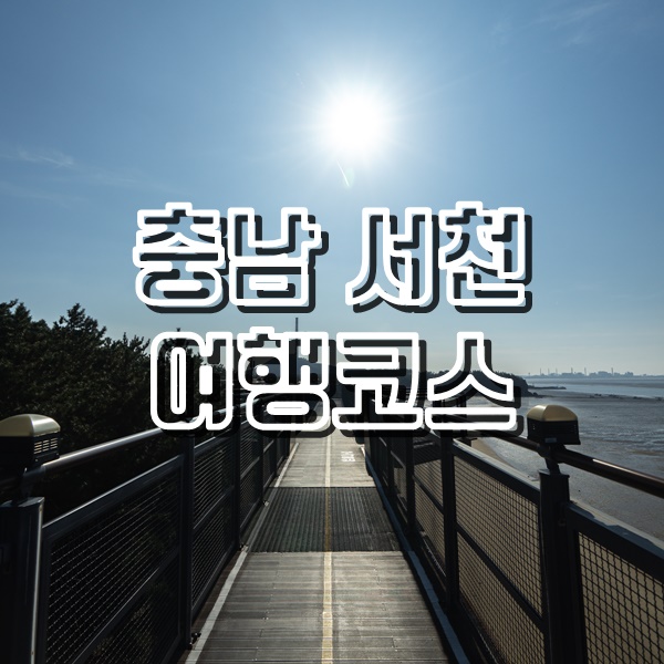  아이들과 갈만한곳 충남서천여행(장항스카이워크, 씨큐리움, 실패했던 서천맛집)