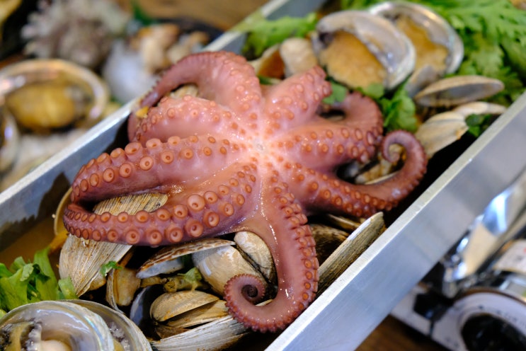  제주 블루하와이리조트 근처 맛집 해녀세자매 제주해산물 요리는 여기가 찐이다!!
