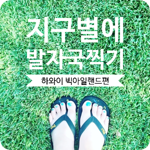  하와이 자유여행 - 빅아일랜드 여행 Tip편