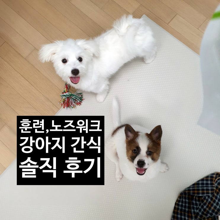  리얼후기 ) 직접 급여해본 강아지 간식 추천 및 후기 - 저키 , 트릿 편