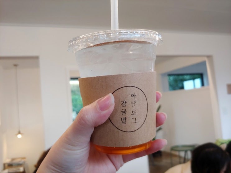  겨울 제주도 여행 애월 카페 아날로그감귤밭 음료 & 감귤체험도 가능한 곳!