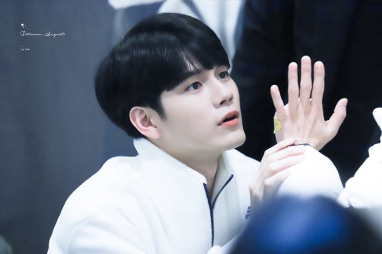 옹성우 쌍방 덕질의 정석