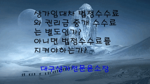  상가건물 임차 시 법정 수수료와 권리금 중개 시 수수료는 별도인가 아니면 같은 범위에 법정 수수료로 봐야 하는가