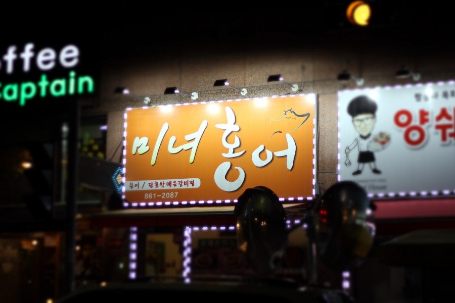 미녀홍어 사진 1