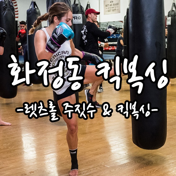 화정동 킥복싱 배우고 싶다면 이곳을 주목하세요! 화정동 킥복싱 배우고 싶다면 이곳을 주목하세요!