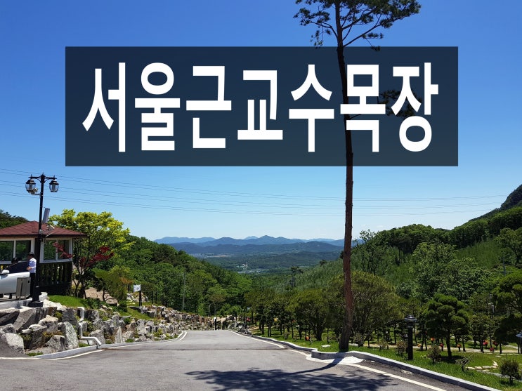  서울근교수목장 어디를 선택해야 좋을까요?