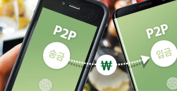 "원금 90% 보전 된다더니"… 허울뿐인 'P2P 보험' "원금 90% 보전 된다더니"… 허울뿐인 'P2P 보험'